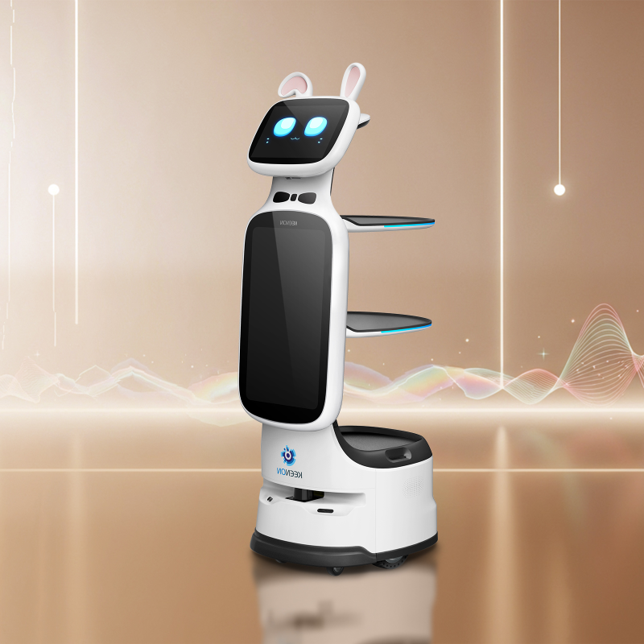 Dinerbot T11